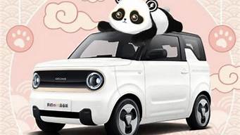 吉利熊猫汽车车友会_吉利熊猫车友群